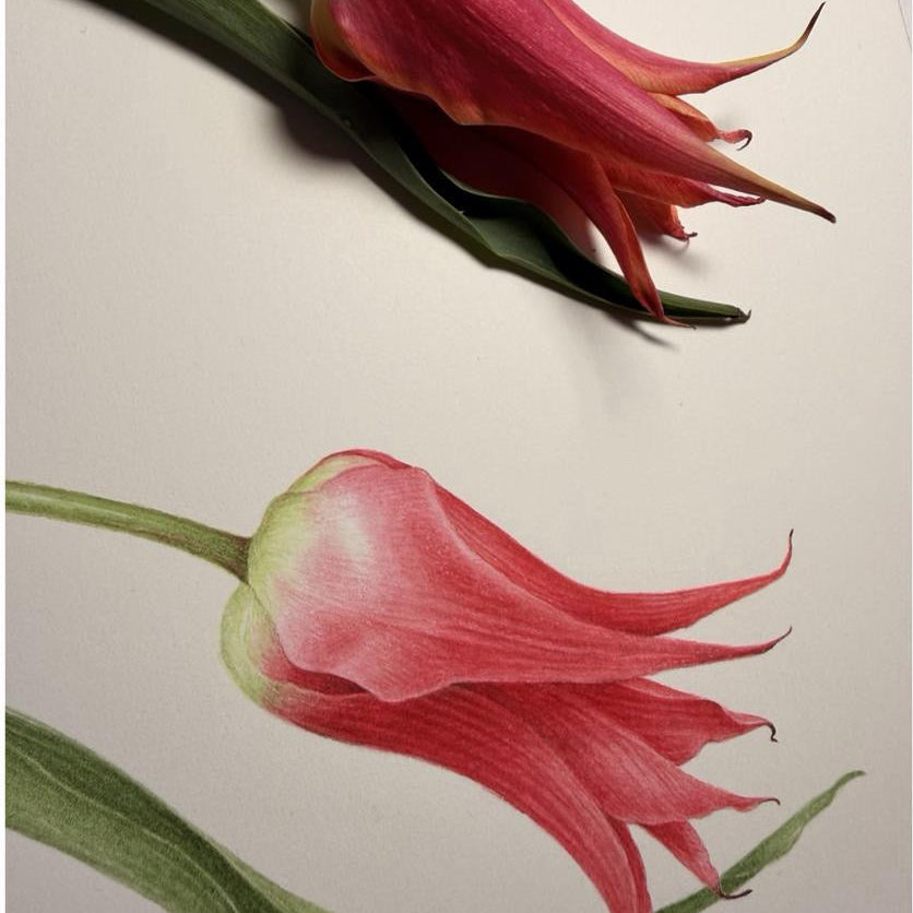 Stage du samedi 16 et dimanche 17 Janvier 2027