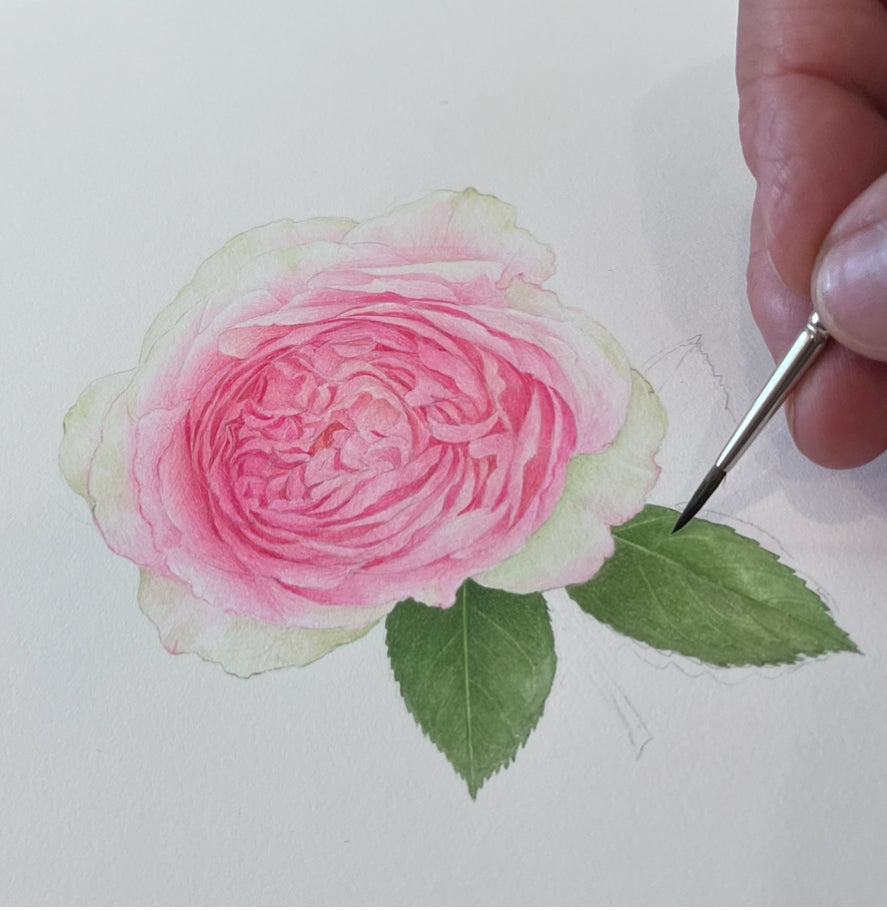 Stage du samedi 28 et du dimanche 29 mars 2026