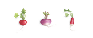 Triptyque 3 petits légumes