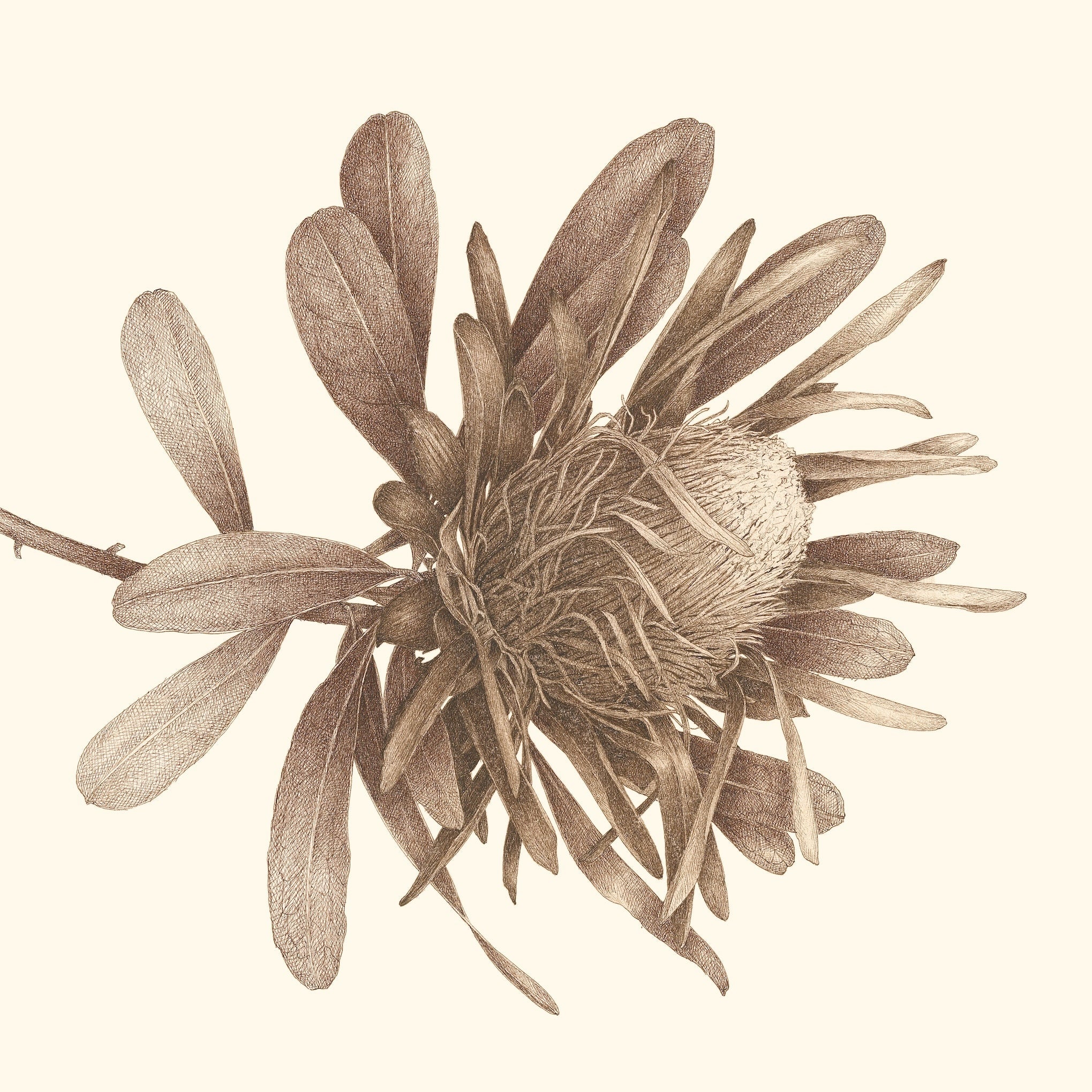 Stage à l'encre samedi 14 et dimanche 15 novembre 2026