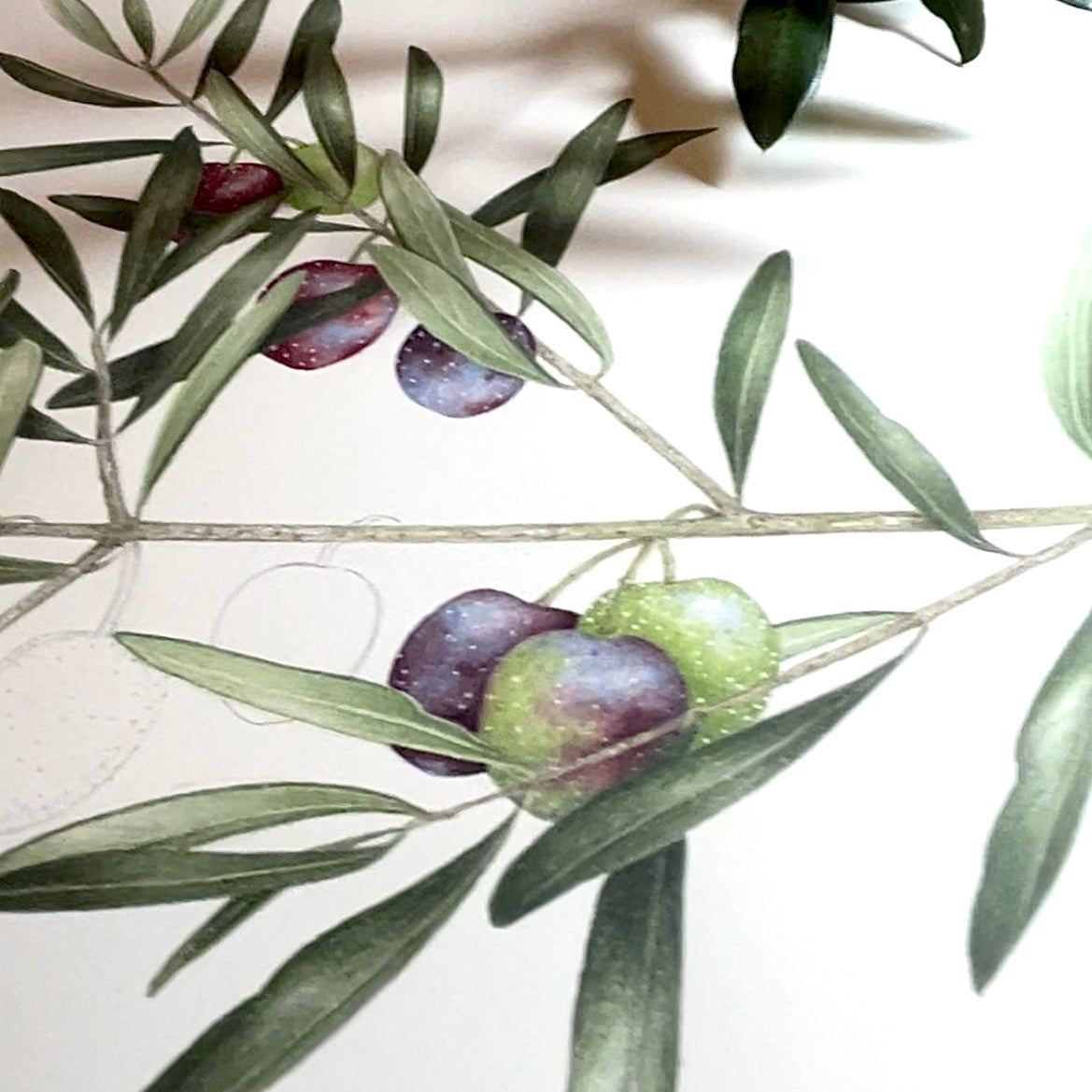 Stage du samedi 26 et dimanche 27 Septembre 2026