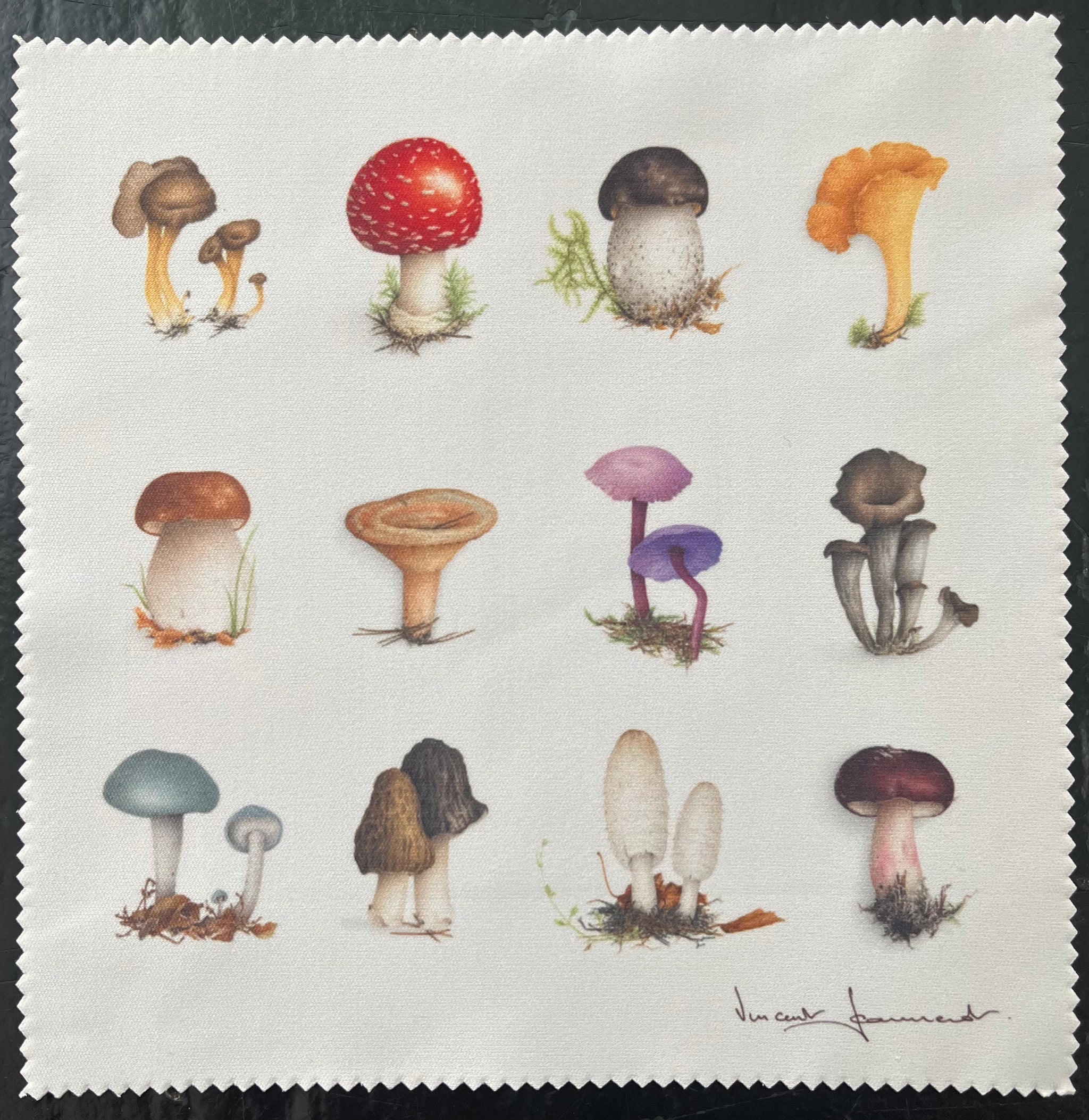 Essuie lunettes "Multi champignons"