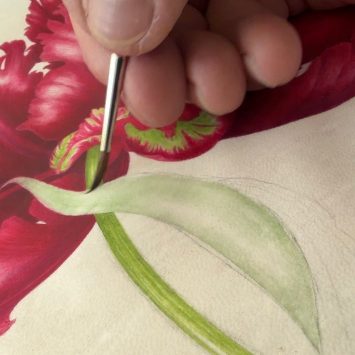 Stage du vendredi 12, samedi 13 et dimanche 14 février 2027