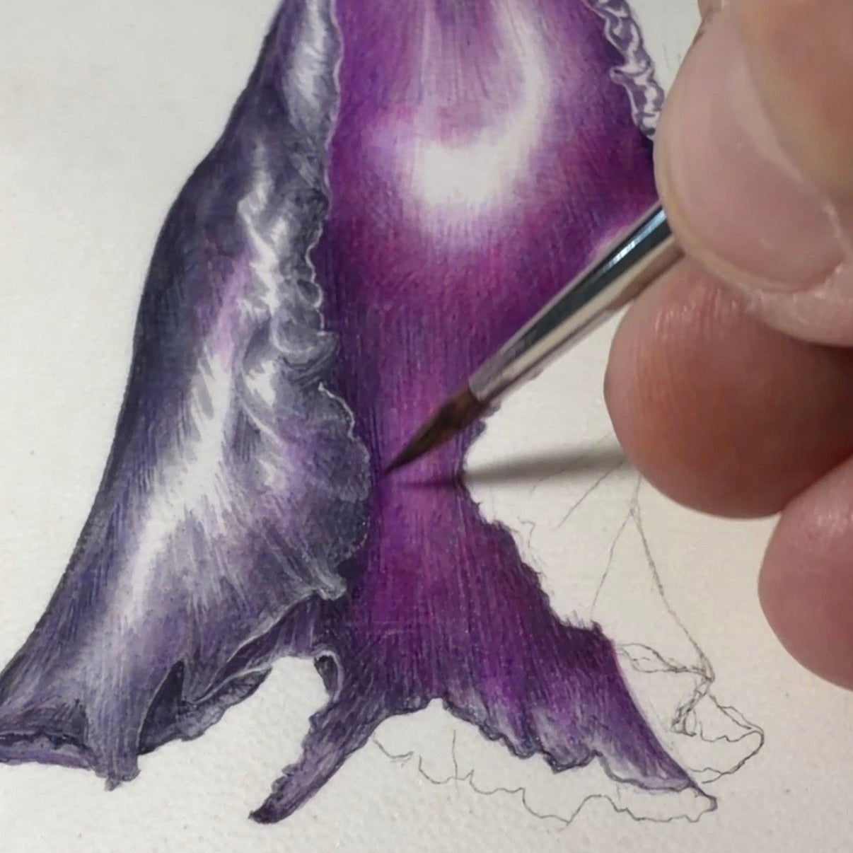 Stage "Aquarelle sur vélin" du samedi 27 et dimanche 28 février 2027