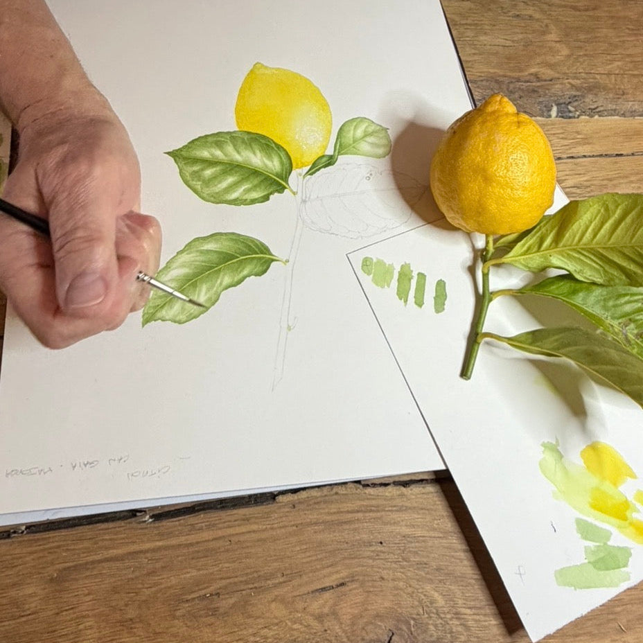 Stage du samedi 30 et du dimanche 31 Janvier 2027