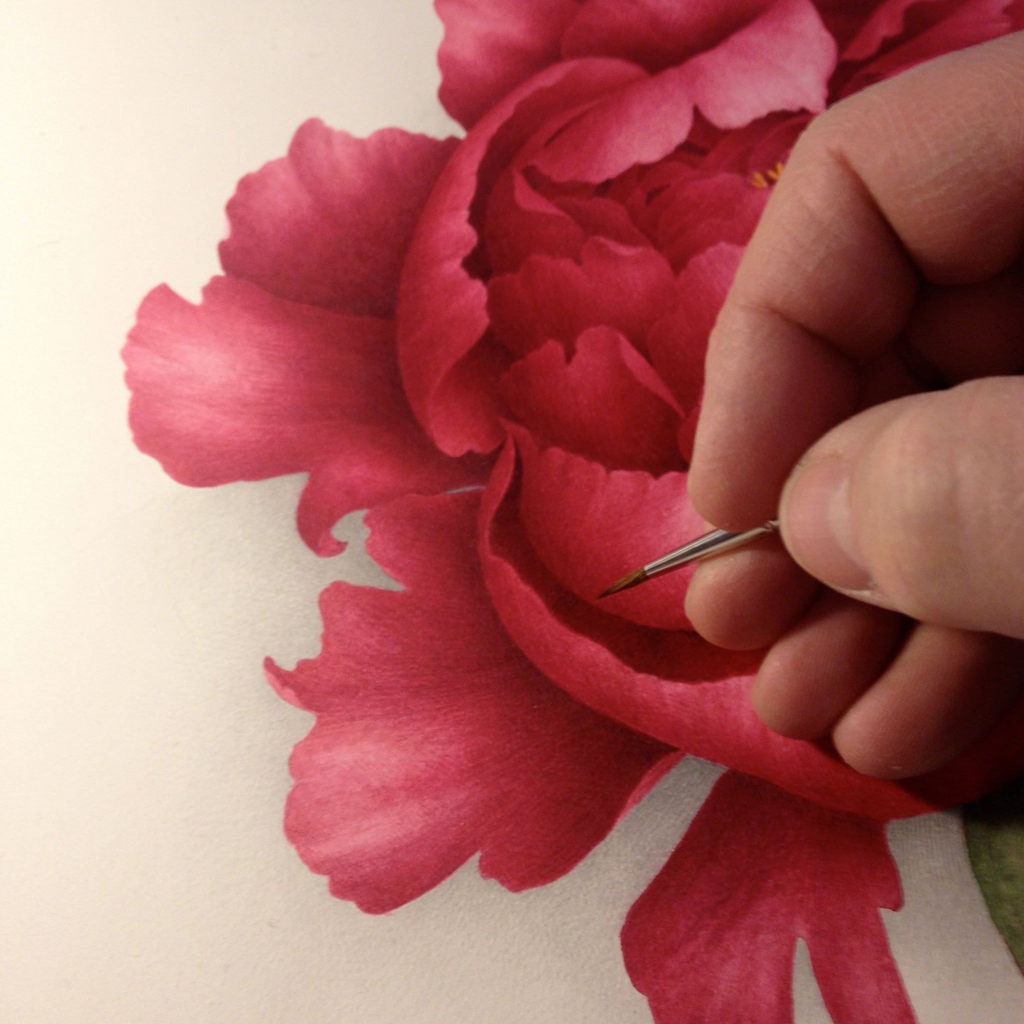 Stage du samedi 21 et dimanche 22 Novembre 2026