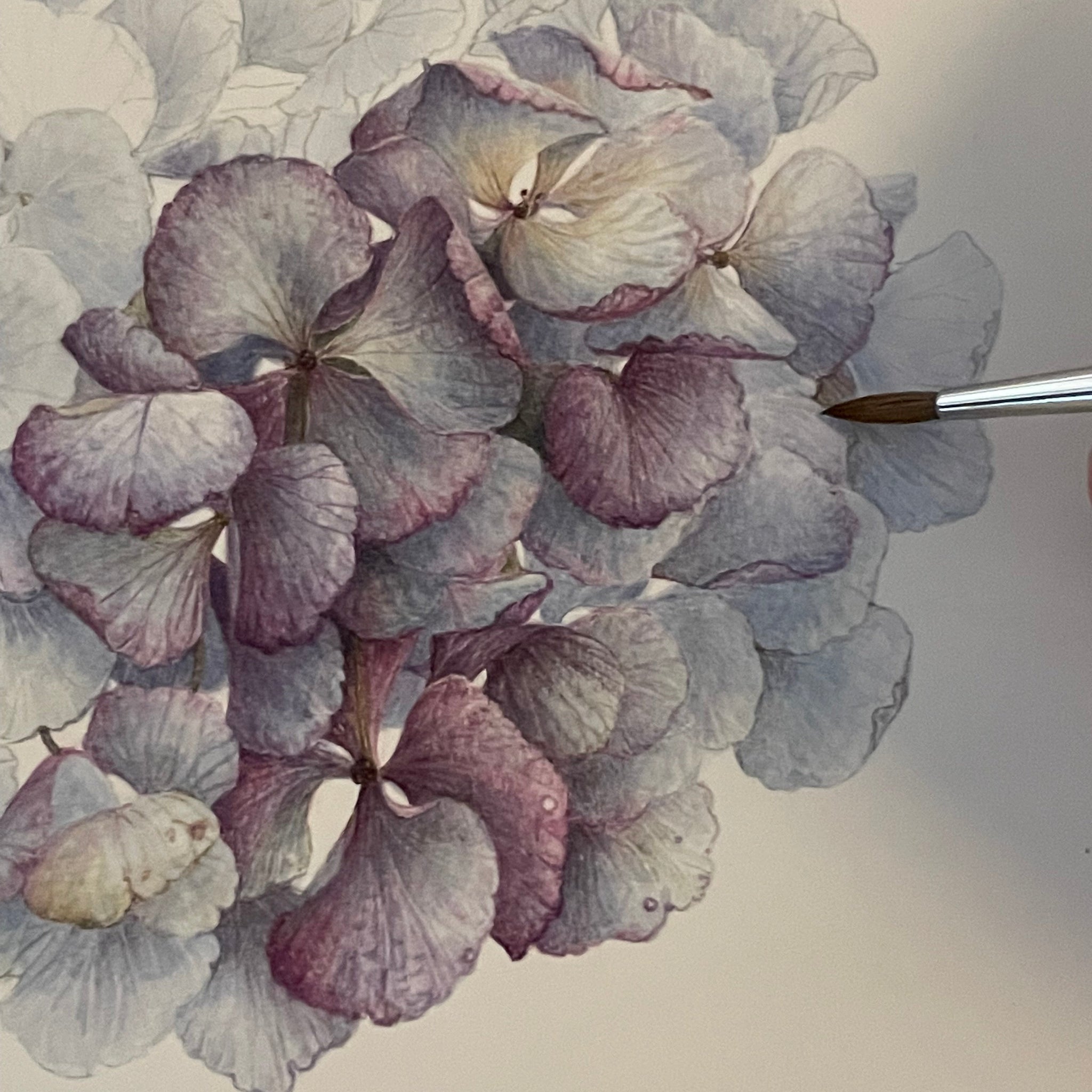 Stage du vendredi 12, samedi 13 et dimanche 14 mars 2027