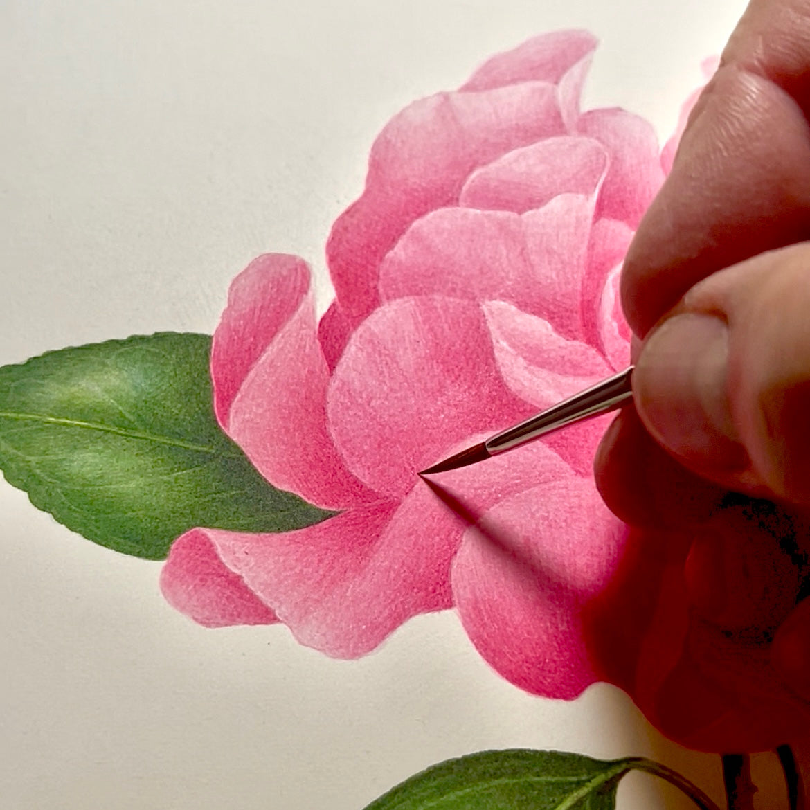 Stage d'aquarelle du vendredi 1er, samedi 2 et dimanche 3 Mai 2026