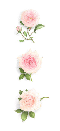 Roses pâles - Triptyque vertical