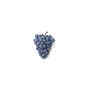 Grappe de raisin