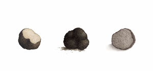 Triptyque "Les truffes"