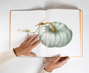 LIVRE "Inspirations botaniques"