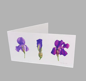5 CARTES HORIZONTALES
