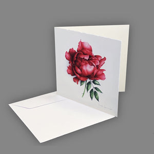 Coffret Pivoines