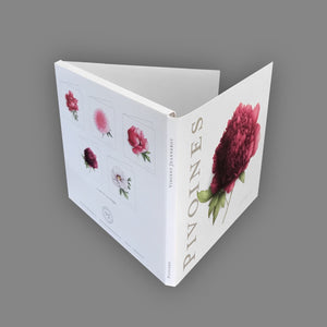 Coffret Pivoines