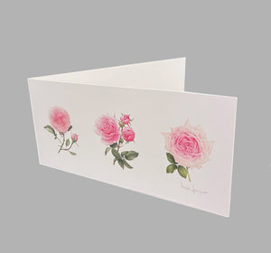 5 CARTES HORIZONTALES