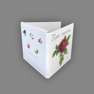 Coffret Roses anciennes